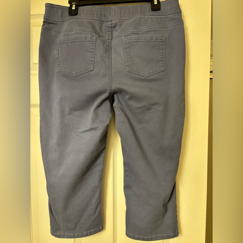 Kim Rogers Blue Cropped Pants. Size 12. - Picture 2 of 4